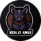 Xolo Inu